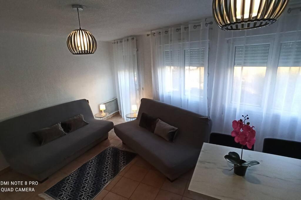 Appartement Face A La Gare Annemasse Dış mekan fotoğraf